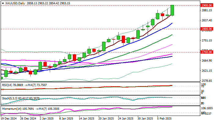 XAU/USD_海马财经